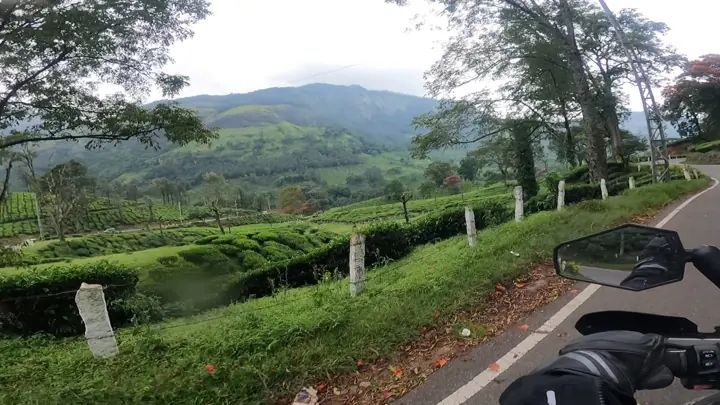 Thumbnail option: tea estates